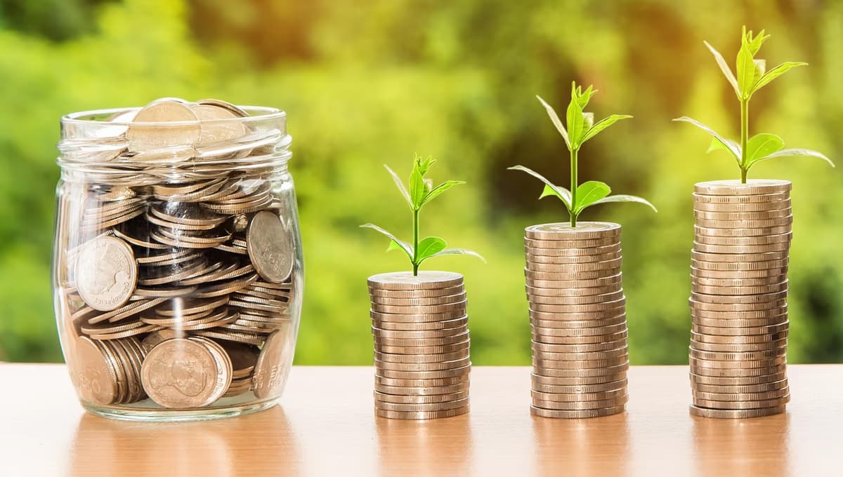 Thousands of South Africans turning to debt counselling a... - South African South African news