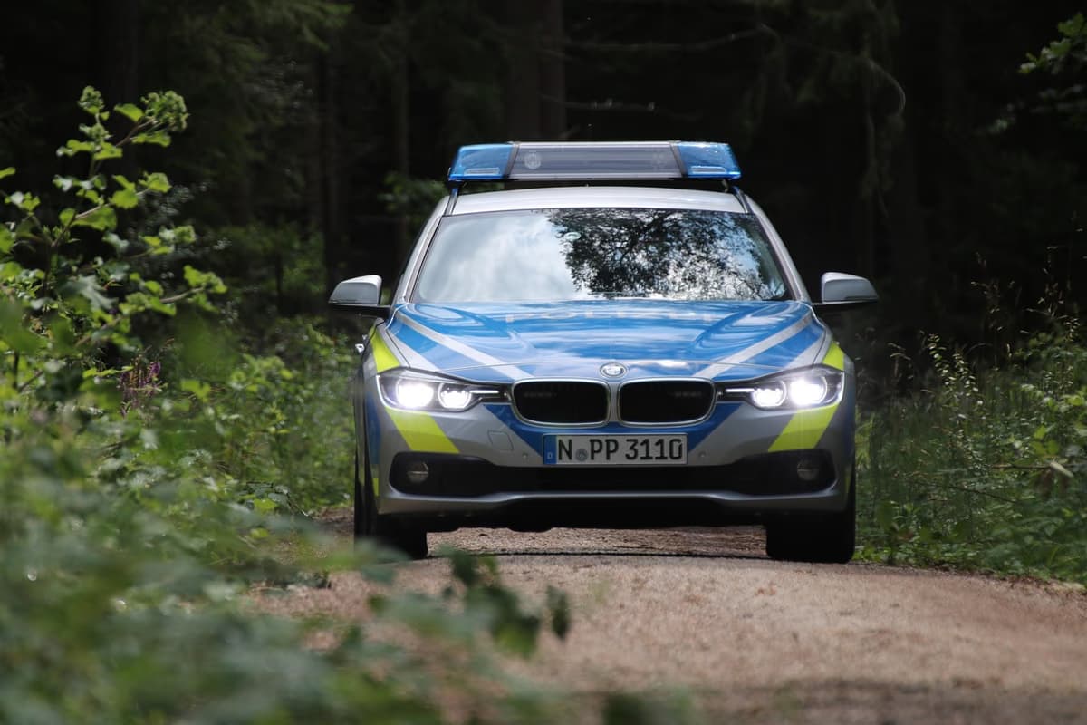 Mpumalanga police set to receive fleet of new vehicles ahead of Easter operat... - crime and justice in South Africa
