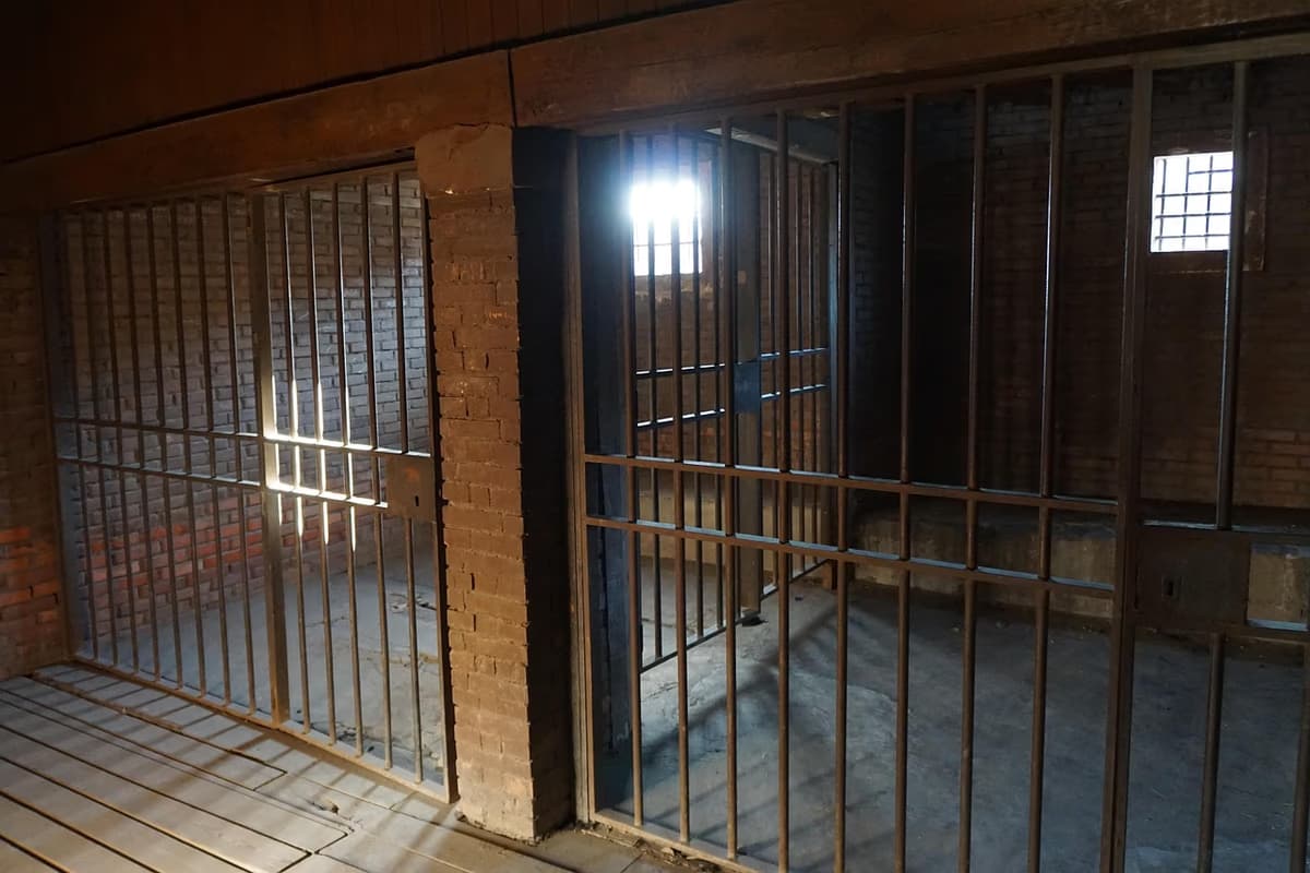Manhunt launched after 12-year-old girl found murdered in... - South African crime and justice news