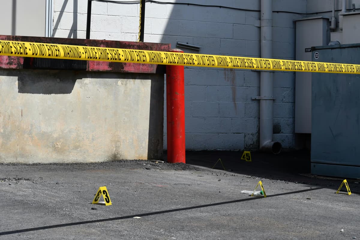 Four firearms seized in Mitchell's Plain gang hotspot as ... - South African crime and justice news