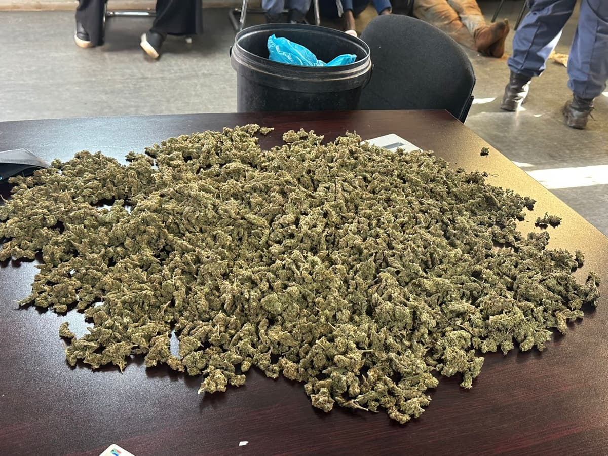 Two arrested for dagga dealing in Northern Cape after tip... - South African crime and justice news