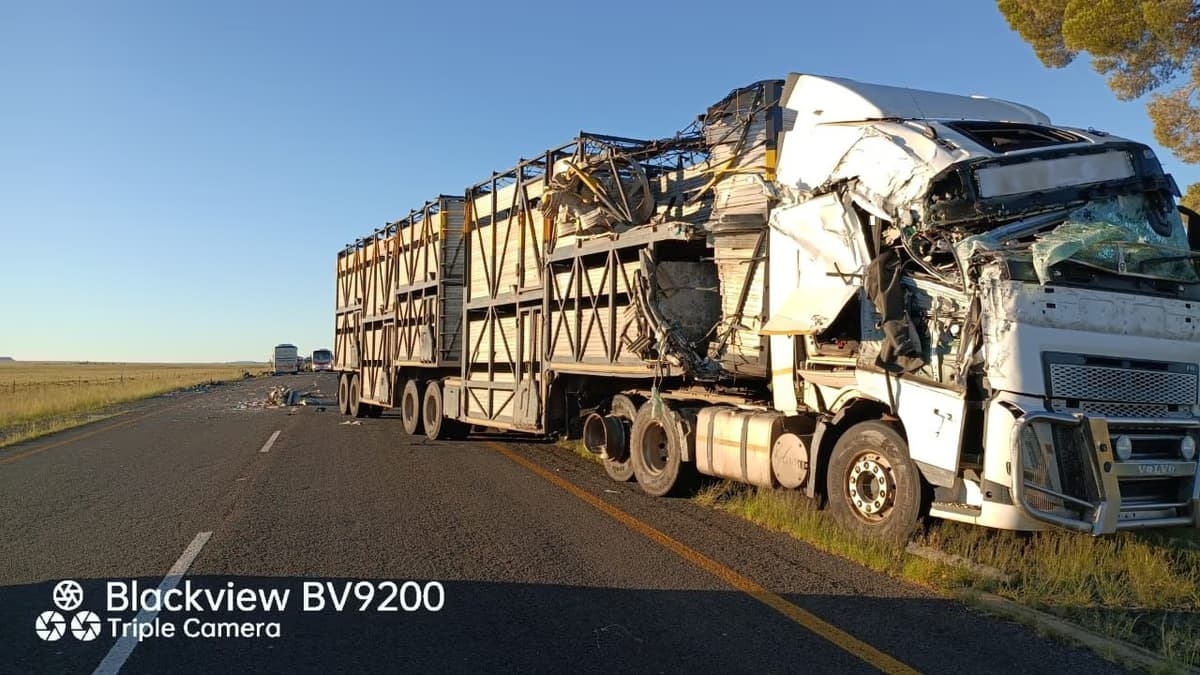 Ten killed in devastating bus and truck collision on Free... - South African crime and justice news