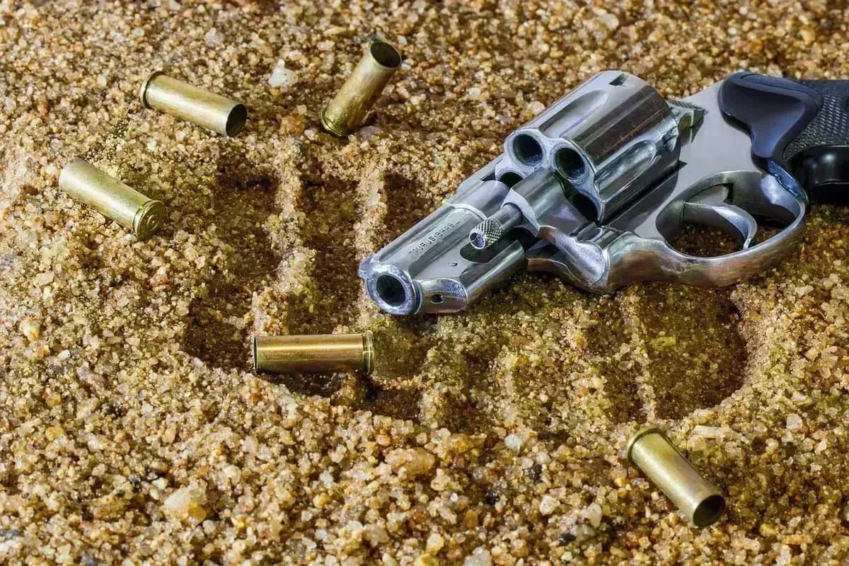Western Cape detectives hunt person of interest after Mfuleni shooting death - crime and justice in South Africa