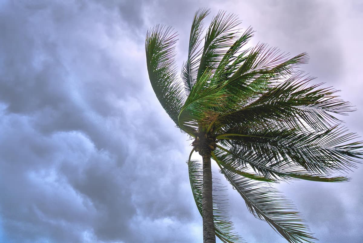 Tshwane residents warned to stay safe amid severe thunderstorm threat - South African news