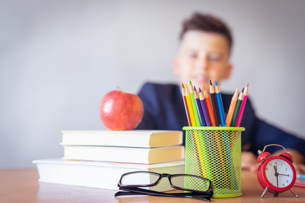 Learners from across Northern Cape elected as Junior Provincial Commissioners - South African news