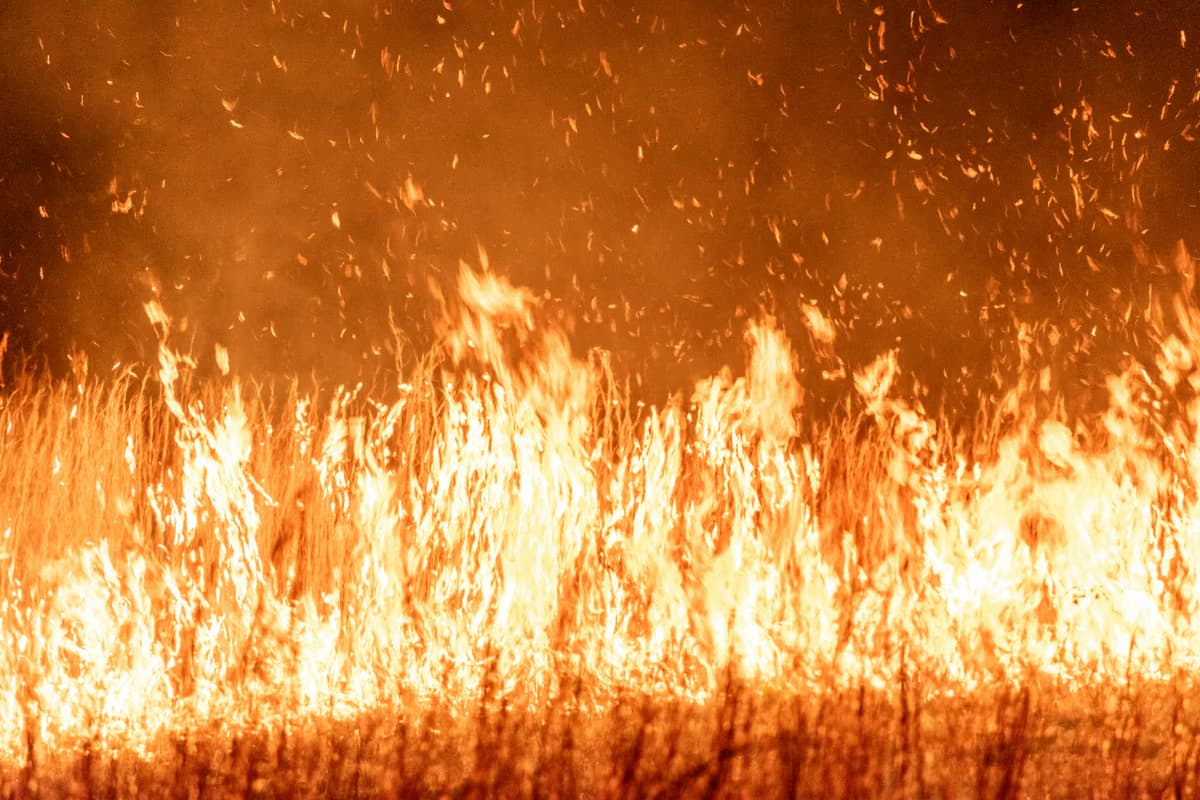 Trained residents halt blaze at Kennedy Road informal set... - South African South African news